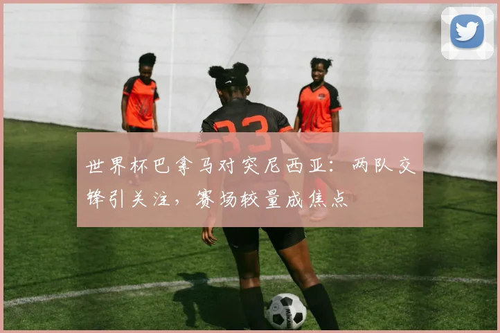世界杯巴拿马对突尼西亚：两队交锋引关注，赛场较量成焦点