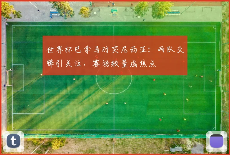 世界杯巴拿马对突尼西亚：两队交锋引关注，赛场较量成焦点