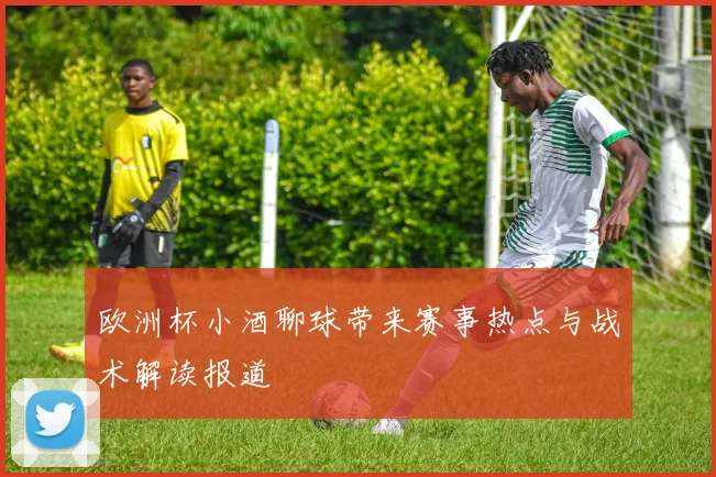 欧洲杯小酒聊球带来赛事热点与战术解读报道