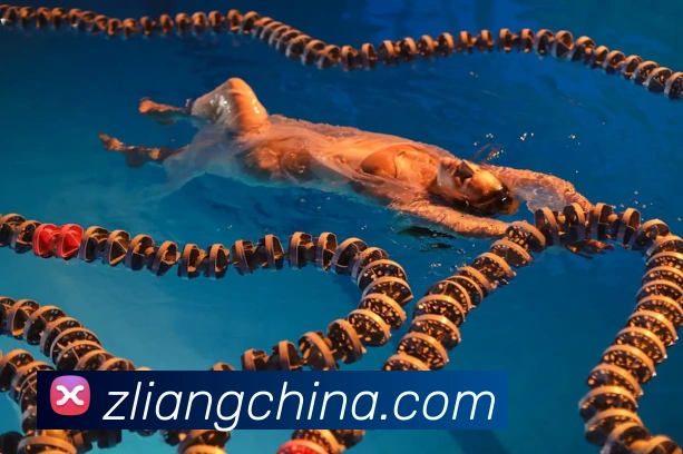 中国女足贺岁备战集训加速推进新年赛事前景受关注